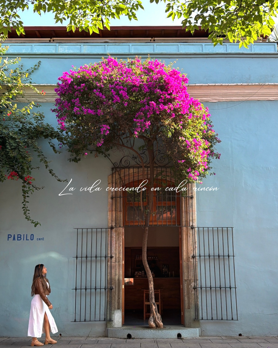 Don't just visit OAXACA, make it your home